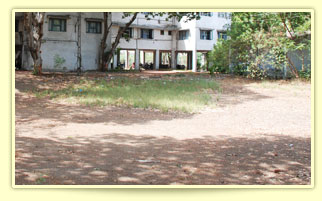 Ground Area